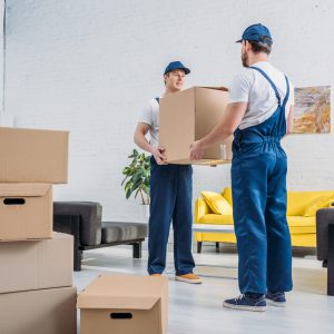 two movers in uniform transporting cardboard box in living room